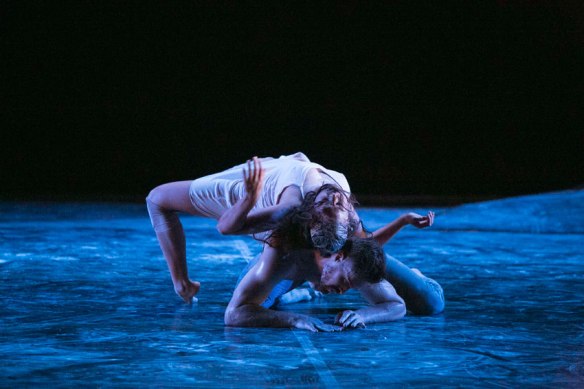 Jasmin Sheppard and Thomas Greenfield. Photo: Jess Bialek