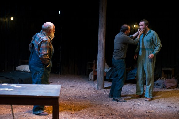Laurence Coy, Anthony Gooley and Andrew Henry. Photo: Marnya Rothe