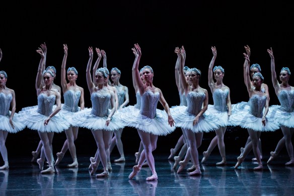 Swan Lake Baynes 2016_Photo Kate Longley-0G4A25402016204